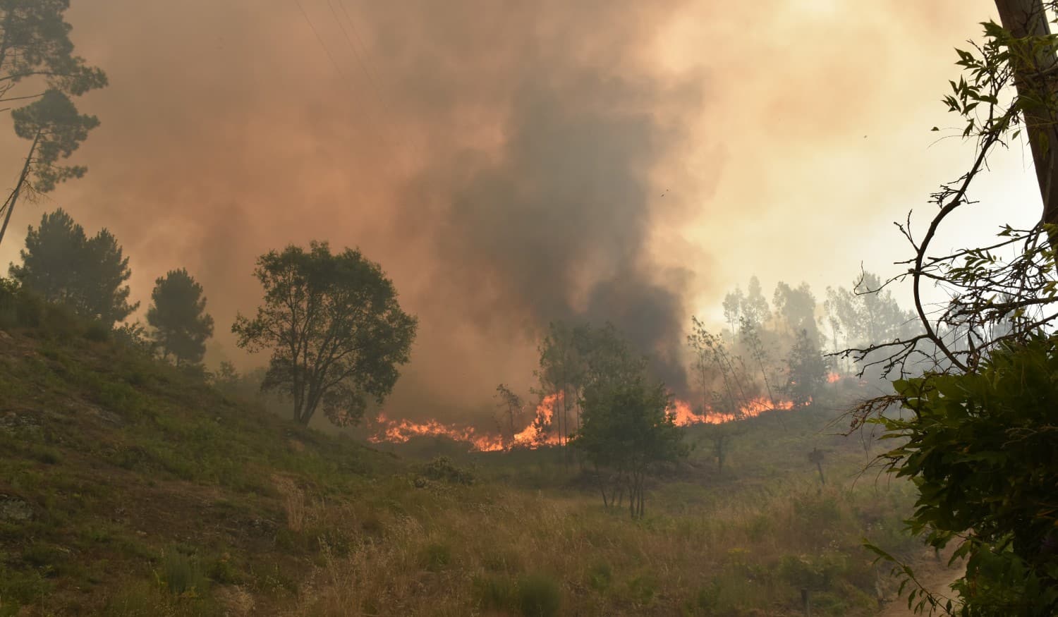 Mais de 200 operacionais combatem dois incêndios no concelho de Baião