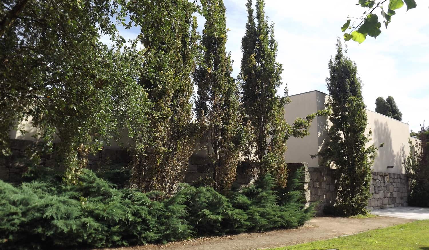 Jardim do Museu de Penafiel vai acolher exibição do filme "Gato Preto, Gato Branco"