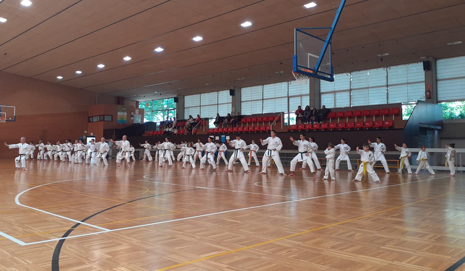 Escola de Karate do Marco de Canaveses participou no Estágio Internacional do Núcleo Karate-do Shotokai Portugal