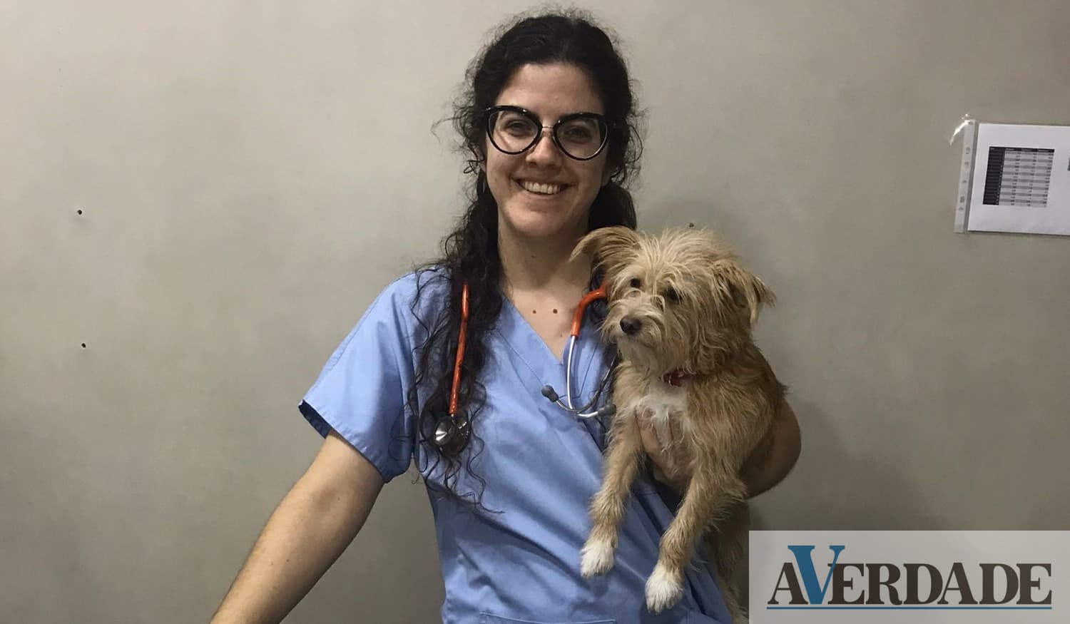 "Combater os números do abandono animal está nas nossas mãos"