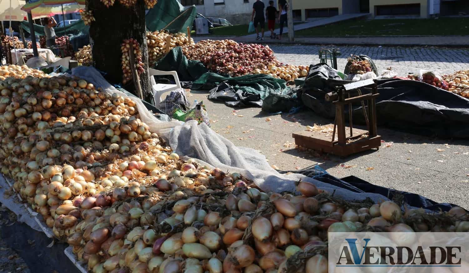 Feira das Cebolas começa esta segunda-feira em Penafiel