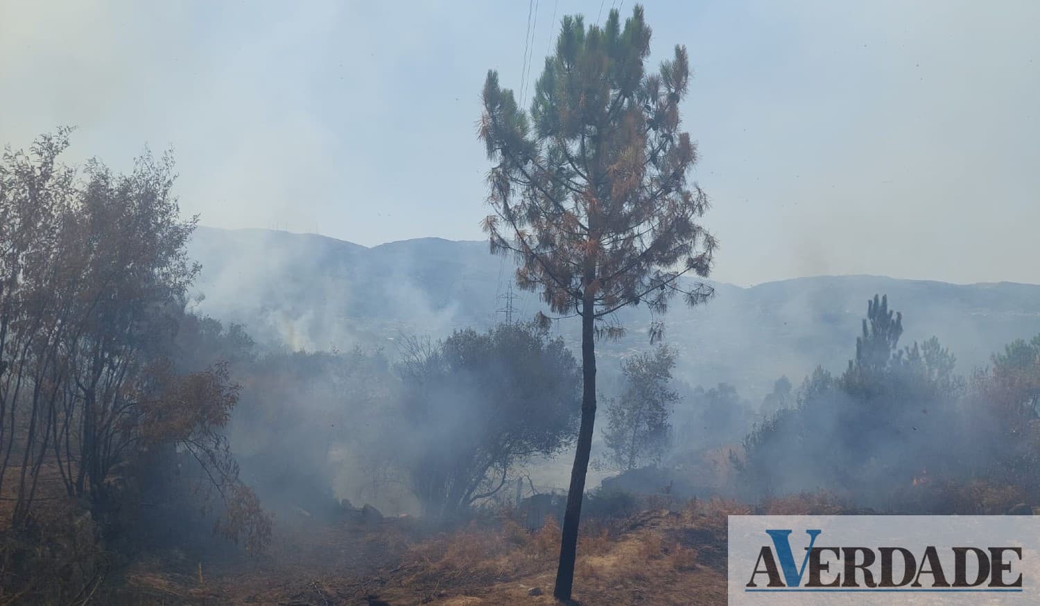 GNR reforça patrulhamento para prevenção de incêndios devido ao aumento das temperaturas