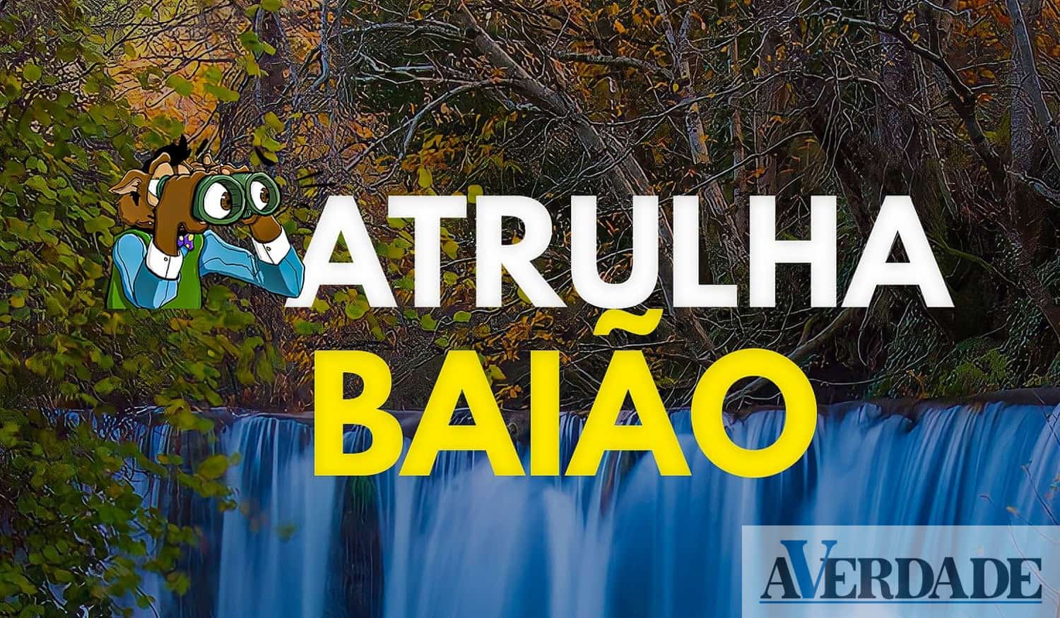 "Patrulha Baião" faz vigilância das florestas até 14 de setembro