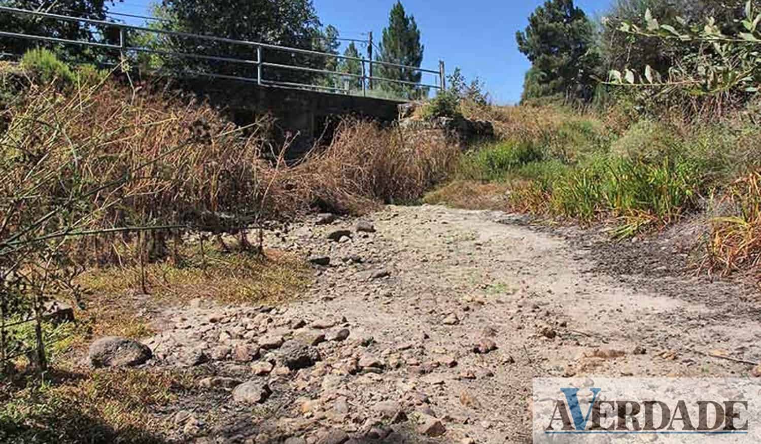 S.O.S. Rio Paiva alerta para a seca que "está a degradar a qualidade da água"