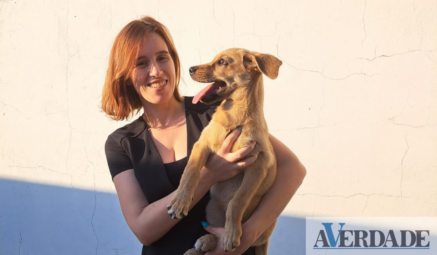 Tânia Coelho: "As pessoas quando decidem ter um animal têm de pensar que é como um filho"