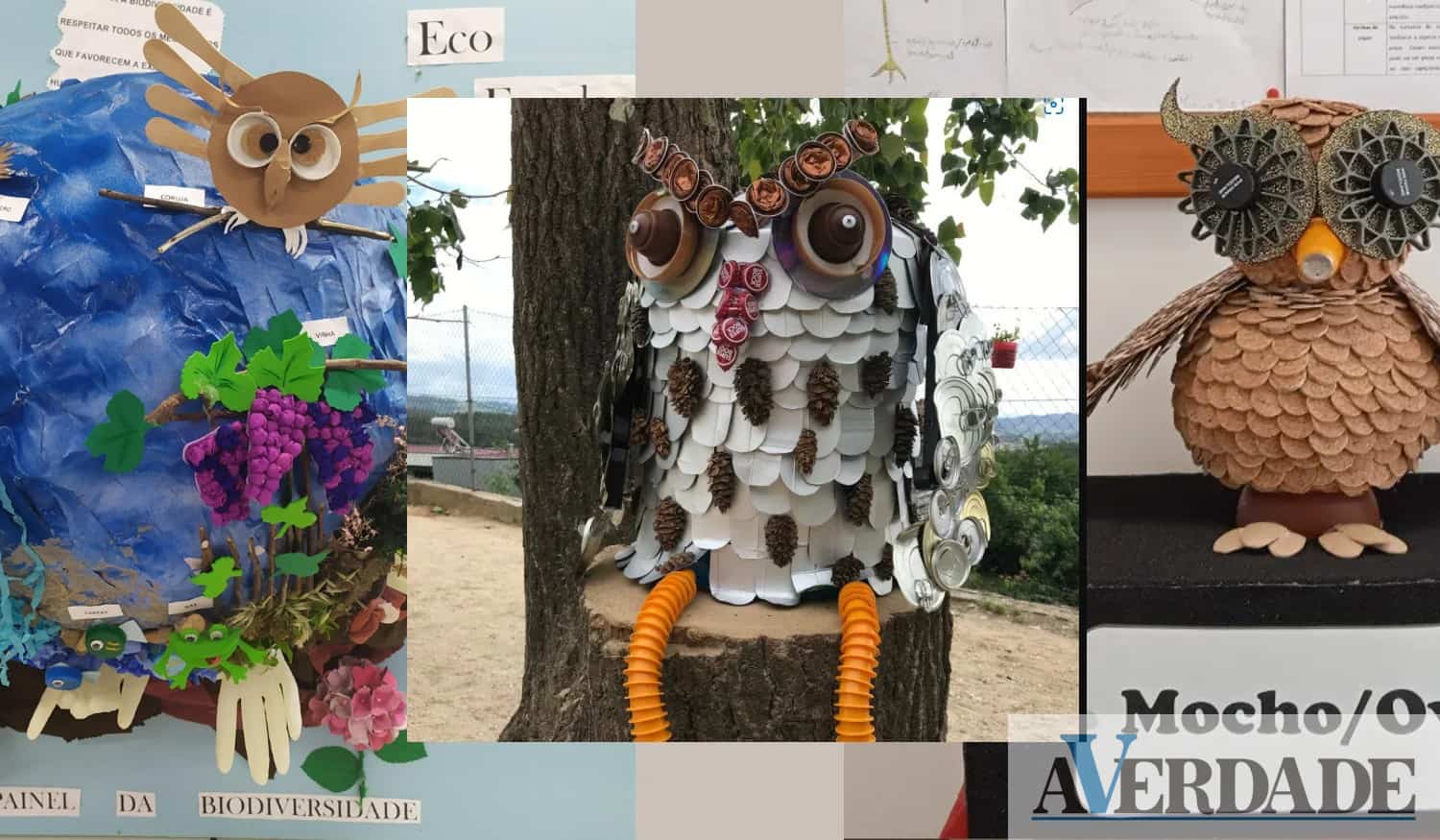 Três escolas de Felgueiras foram distinguidas no programa Eco-Escolas