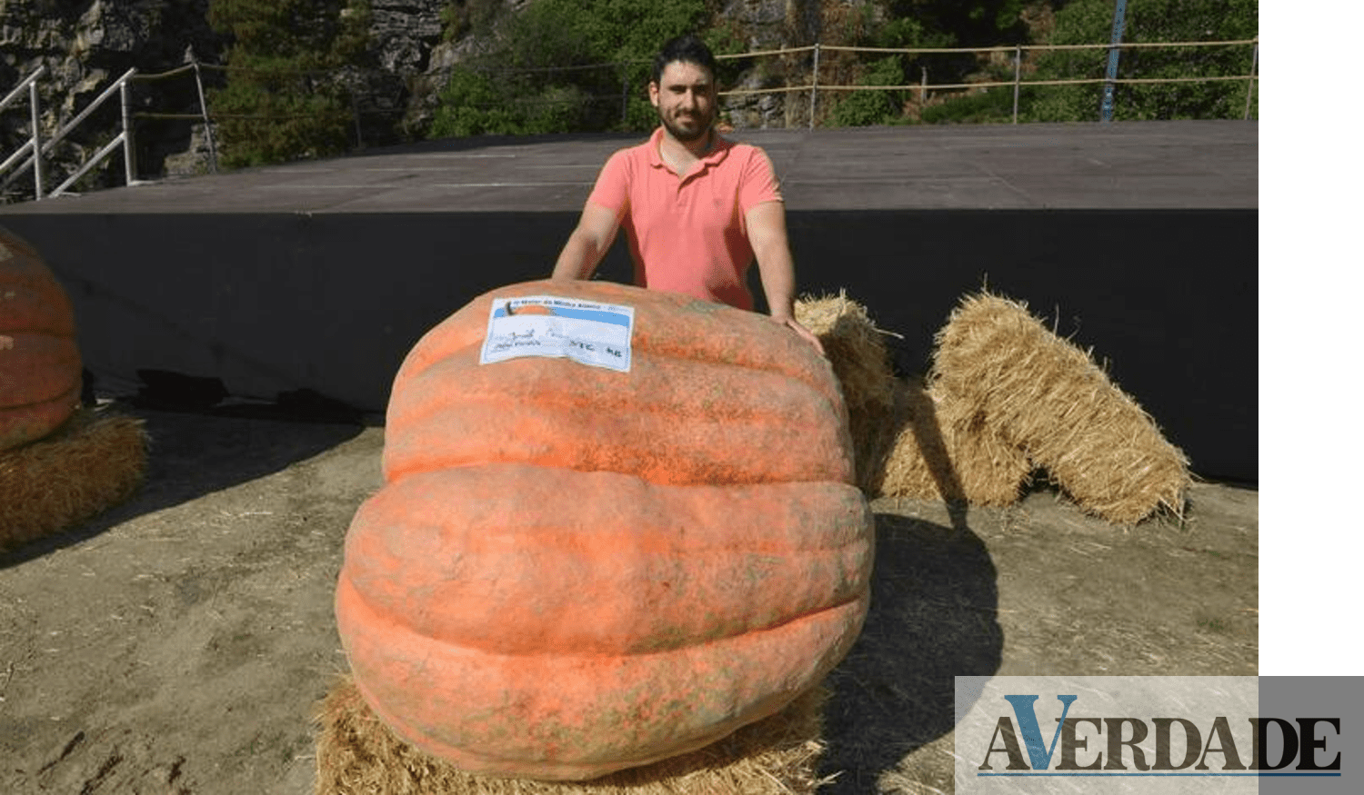 Abóbora de 372 quilos vence concurso de hortículas gigantes em Paredes