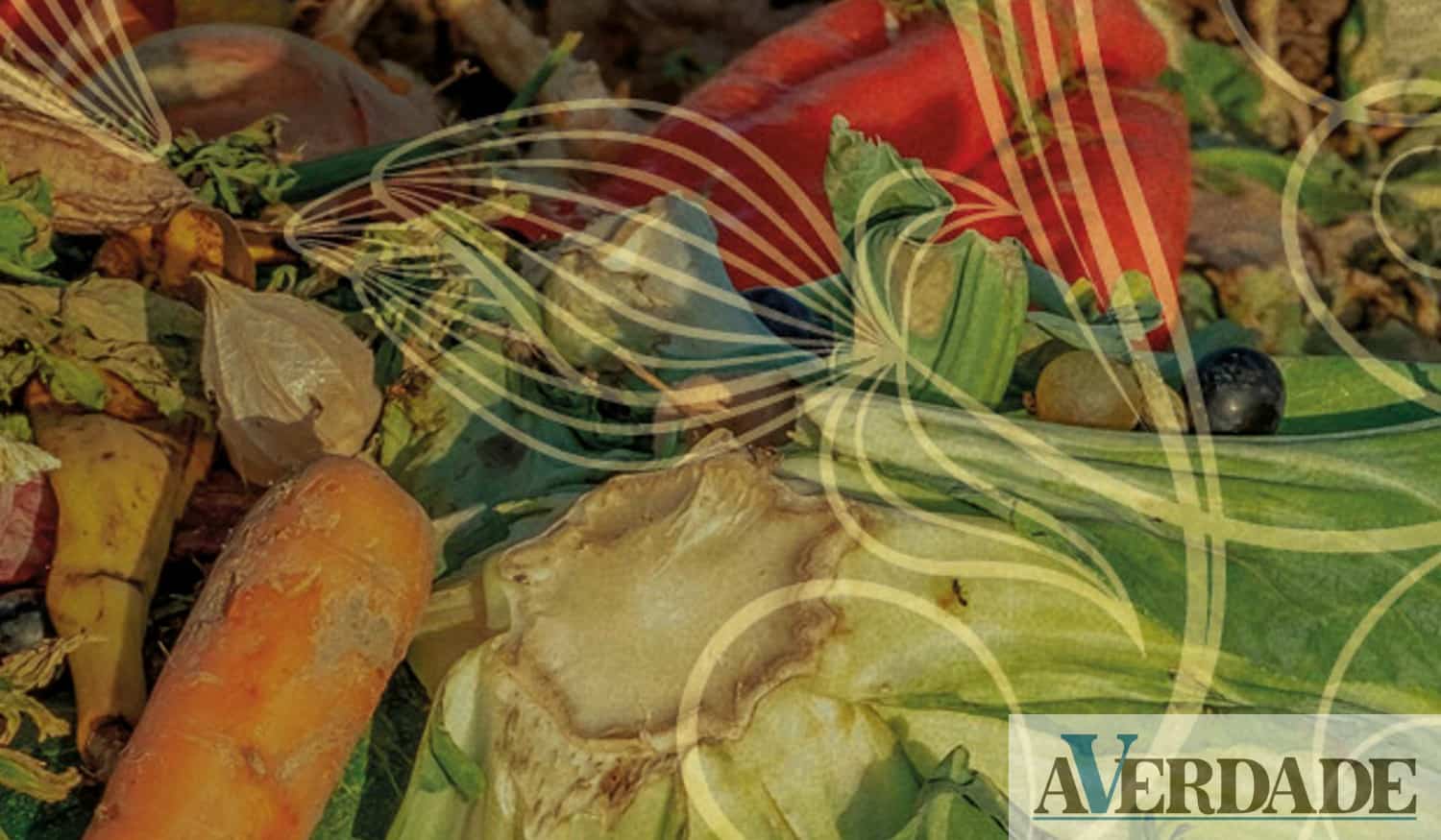 BioLousada promove atividade sobre a compostagem doméstica