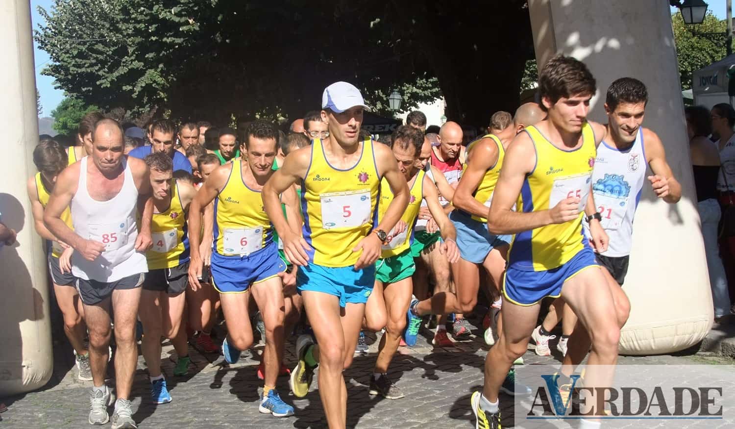 Castelo de Paiva: Corrida das Vindimas vai reunir 250 atletas no próximo domingo