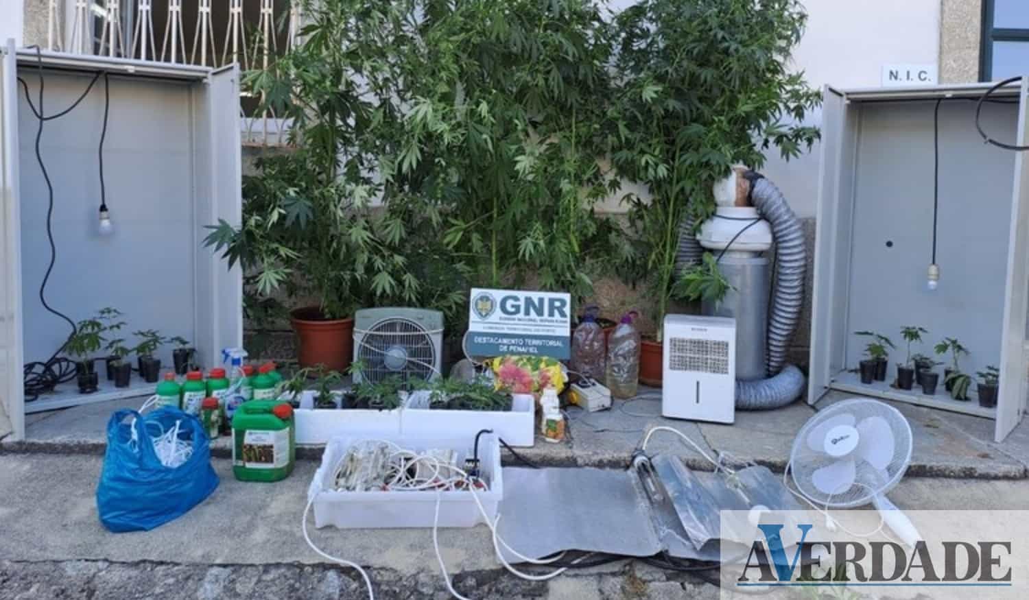 Detido homem de 30 anos por tráfico de estupefacientes em Penafiel
