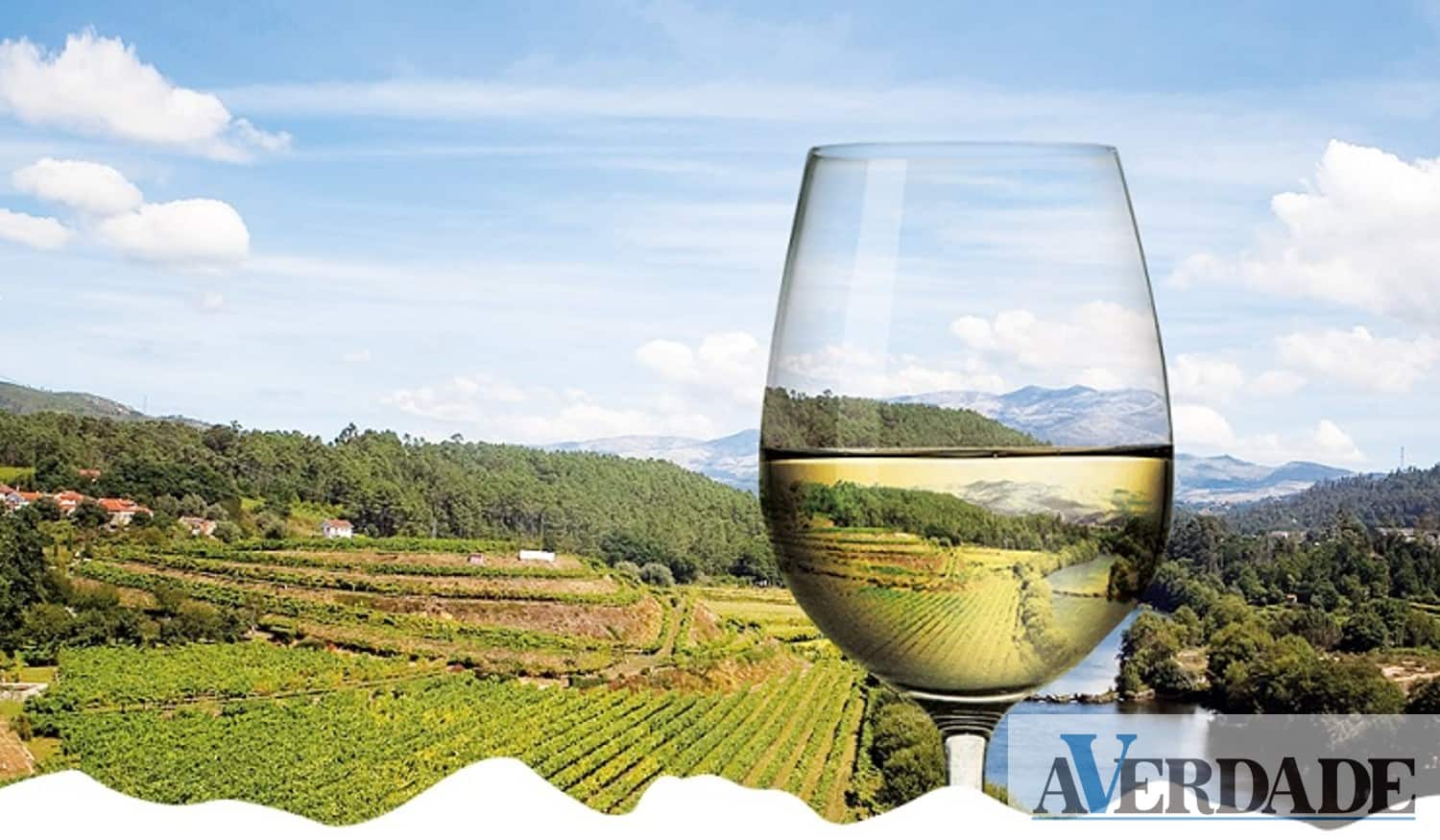 "Dia de Portas Abertas" vai dar a conhecer a Rota dos Vinhos Verdes
