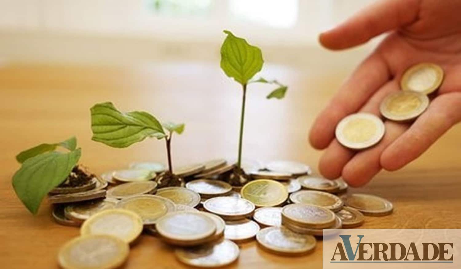 Marco: Junta de Soalhães vai promover palestra sobre Educação Financeira