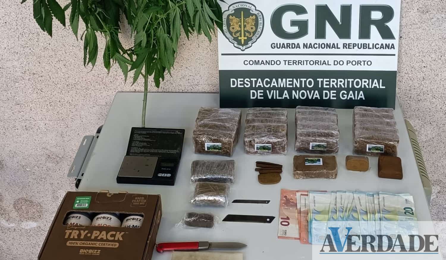 Gaia: Prisão preventiva para homem por vender droga junto de escola, farmácia e centro de saúde