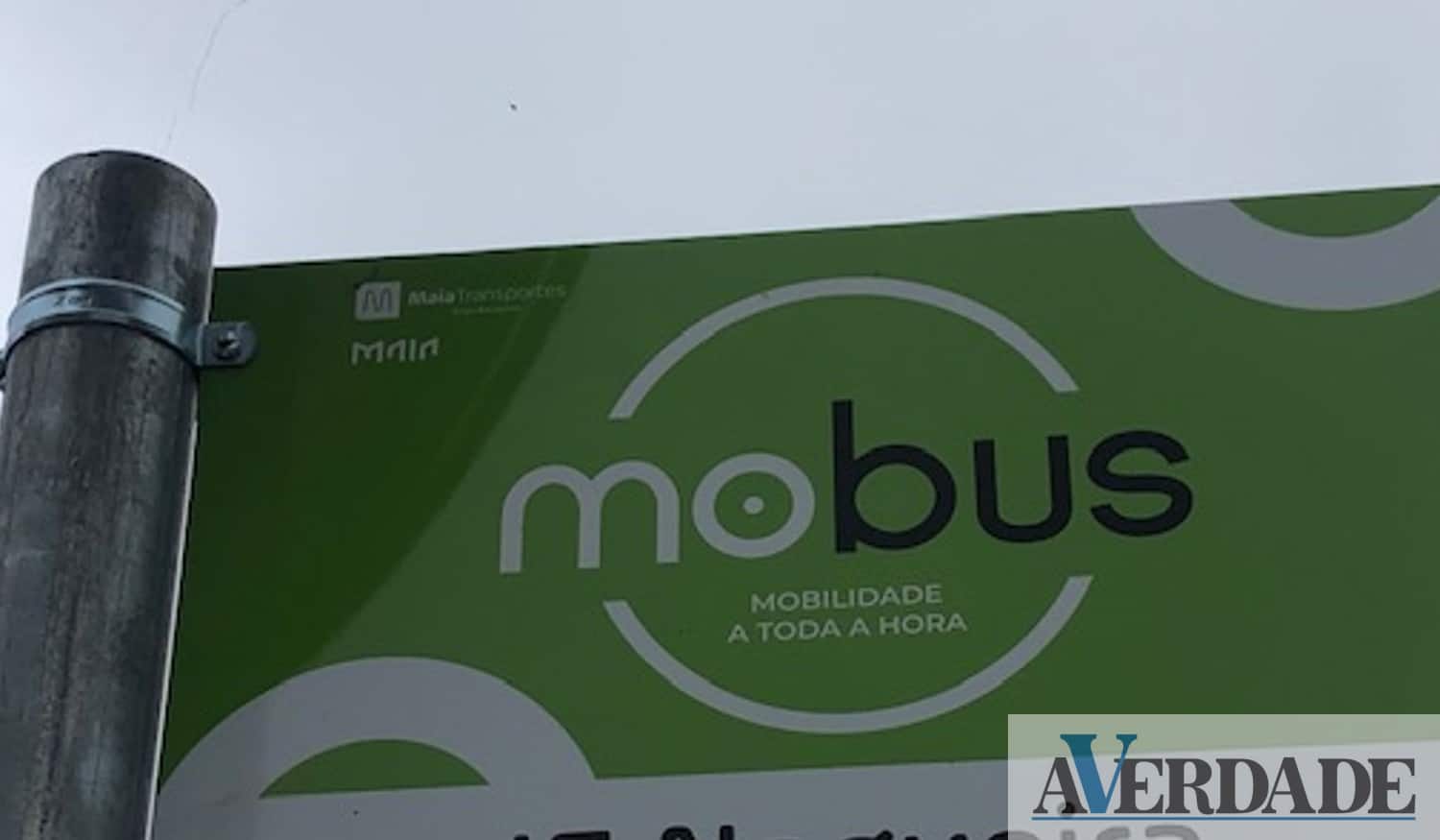 Novo serviço de transporte a pedido chegou à Maia