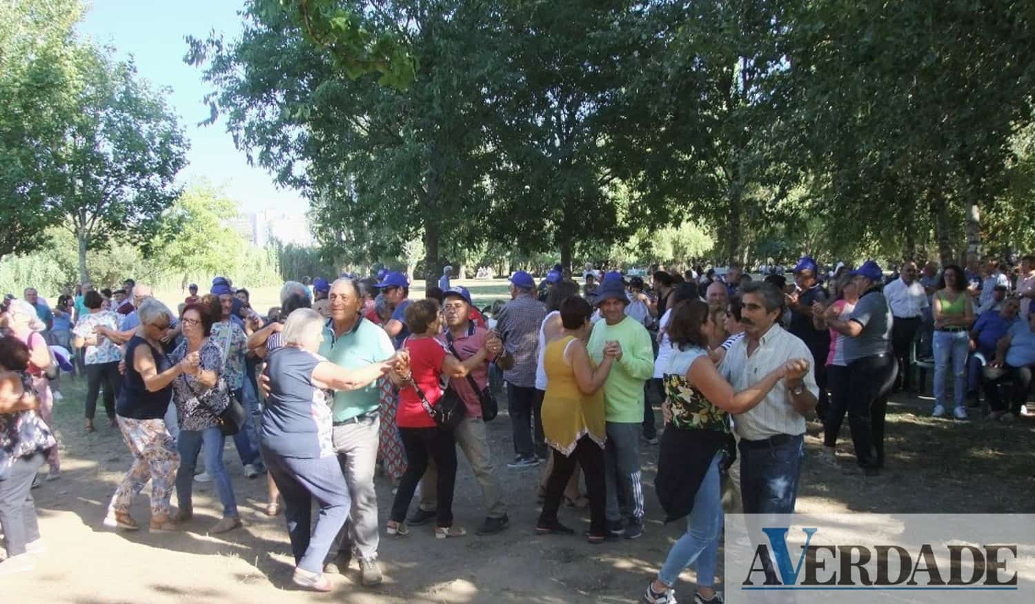 Município de Castelo de Paiva volta a promover 'Passeio dos Idosos'
