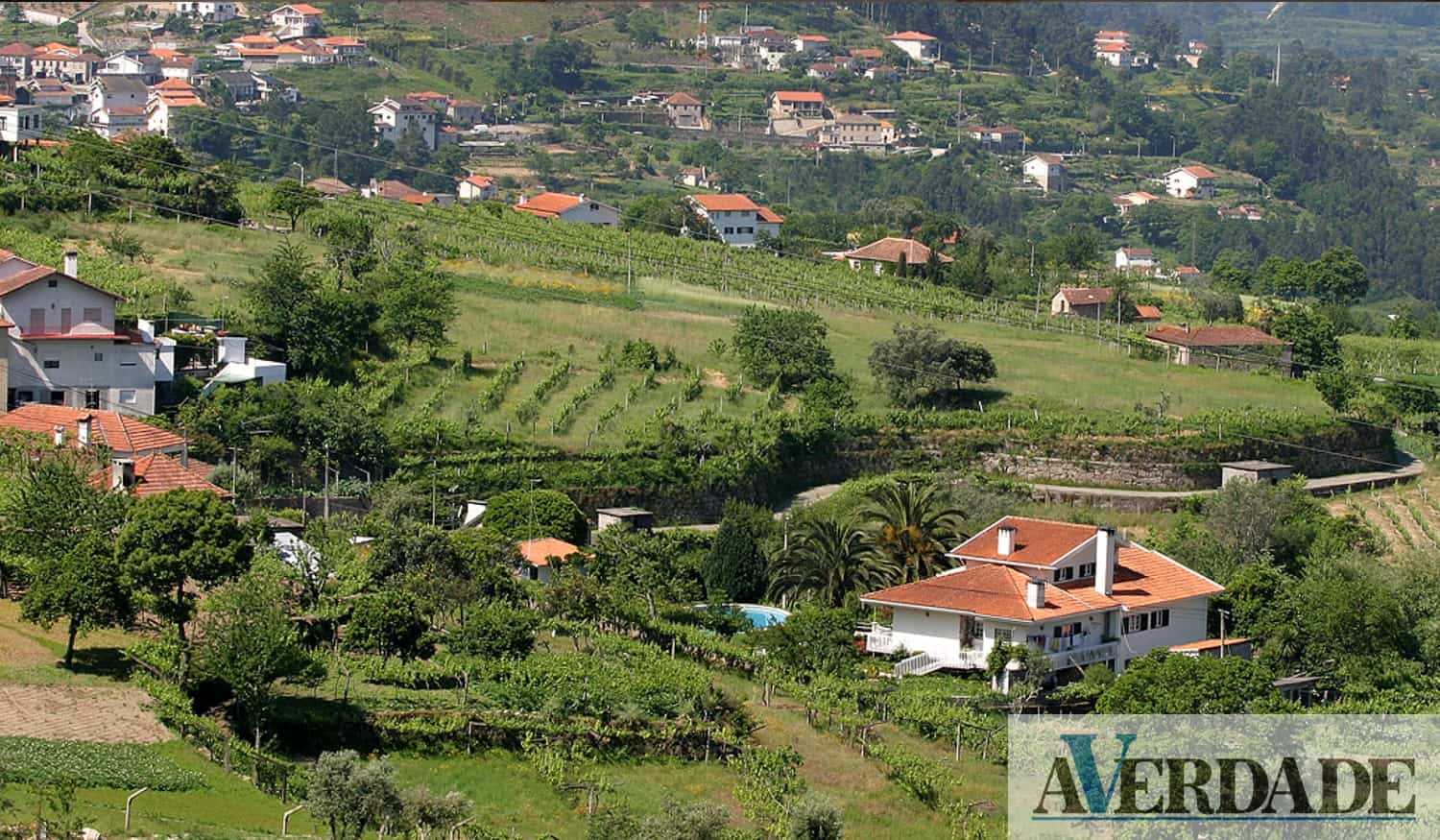 Cinfães: Barraquinhas de Souselo regressam esta sexta-feira