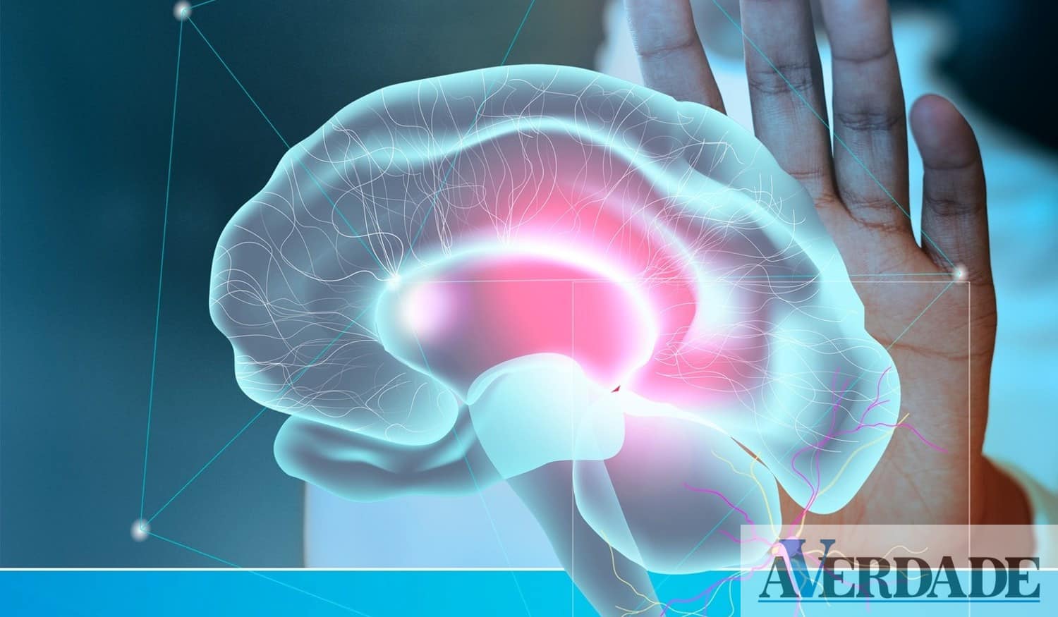 Castelo de Paiva: Projeto VIDA vai realizar palestra sobre Alzheimer