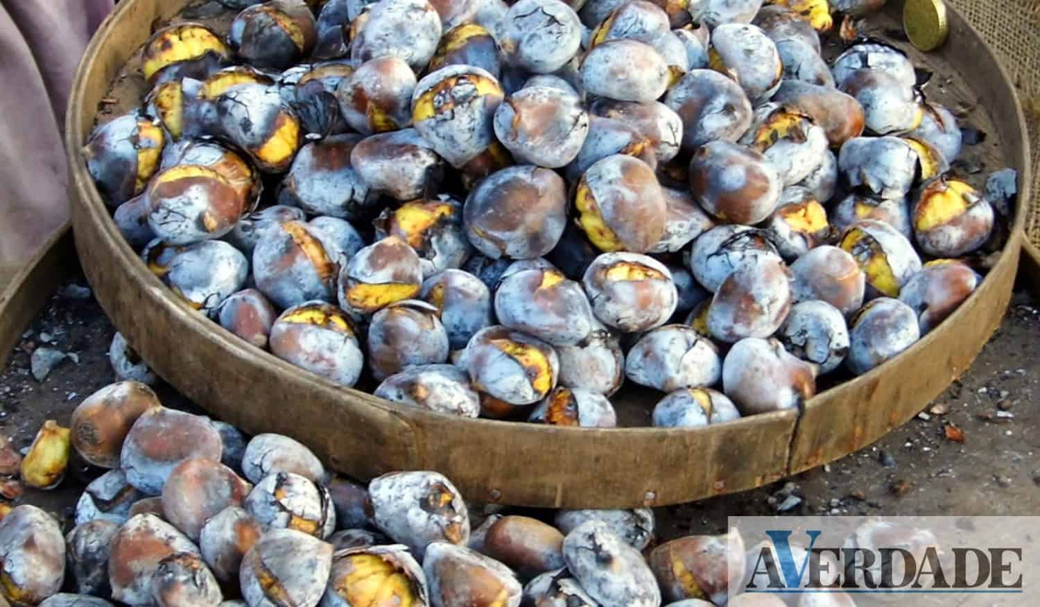 Marco: Freguesia de Sande e São Lourenço do Douro vai receber um magusto