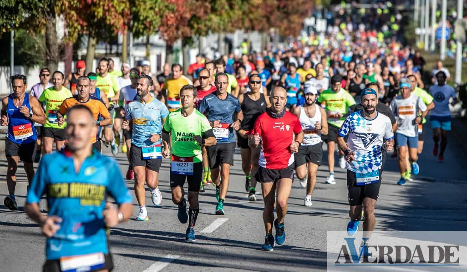 Atletas correm este fim de semana na Maratona do Porto