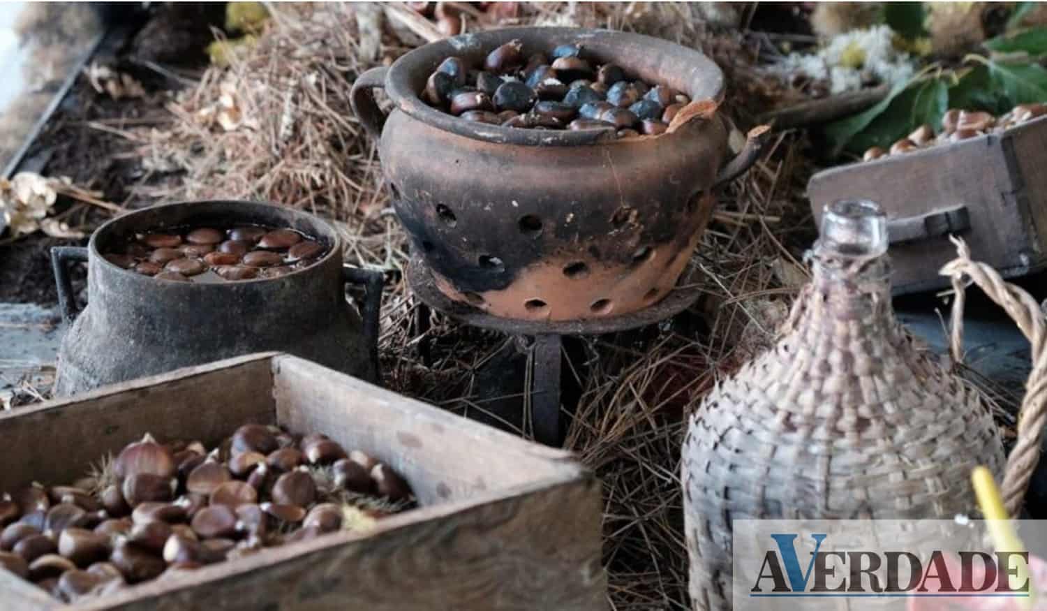 Arouca: Festival da Castanha adiado devido "condições meteorológicas adversas previstas"