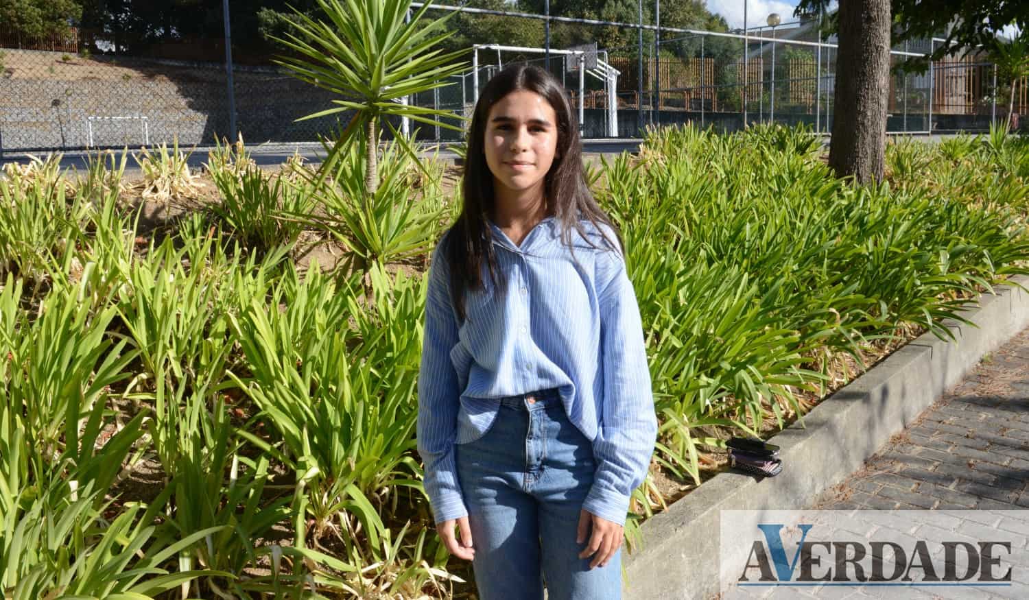 "Cada aluno tem de encontrar o método de estudo mais adequado aos seus objetivos"