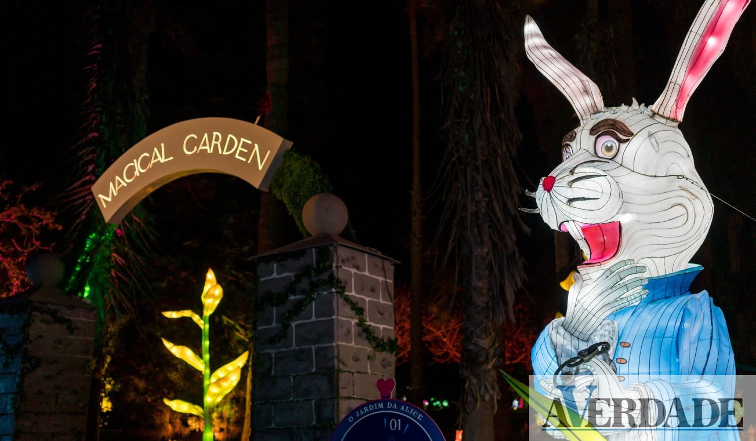 "Alice in Magical Garden" vai continuar a iluminar o Jardim Botânico do Porto até 30 de dezembro