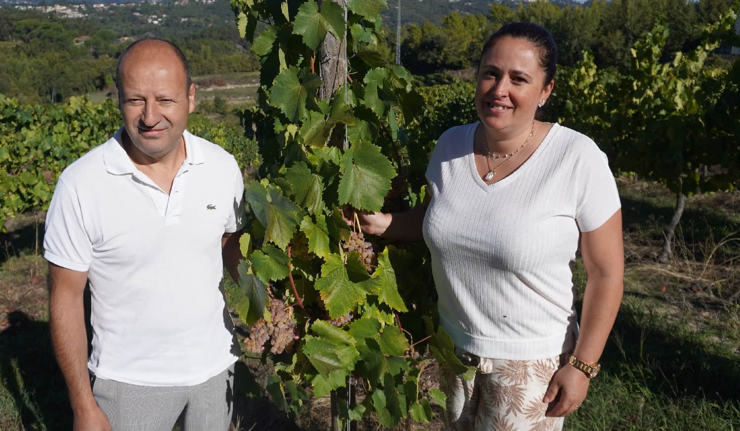 Especial Vindimas: Vinho Quinta do Beiral com objetivo de "voar além fronteiras"