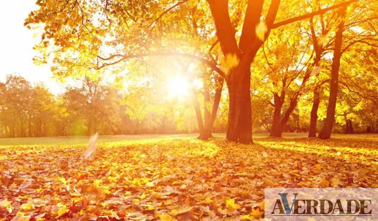 Fim de semana com sol e descida de temperatura na região do Tâmega e Sousa