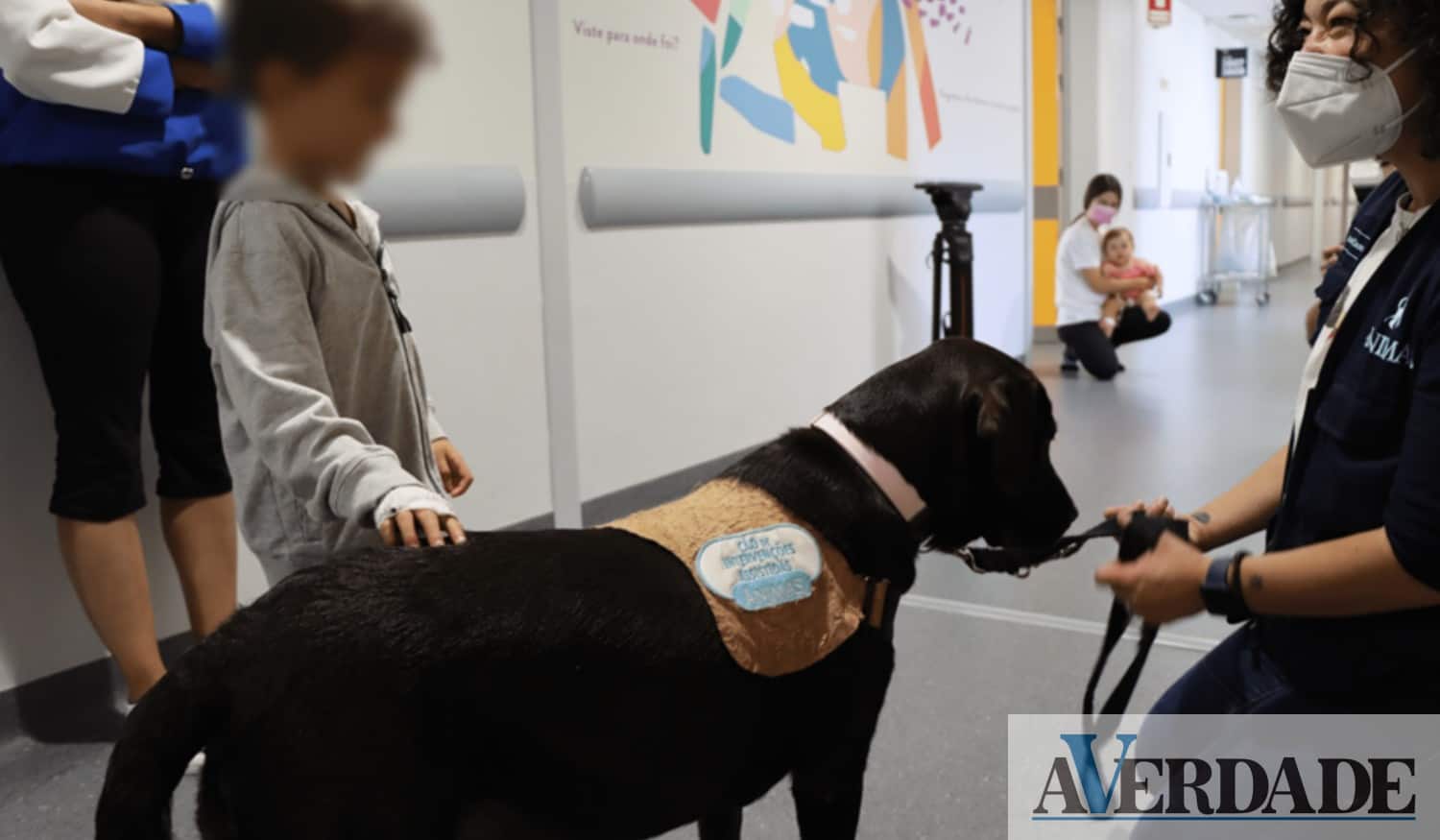 Crianças internadas no Centro Hospitalar Universitário São João interagem com cães