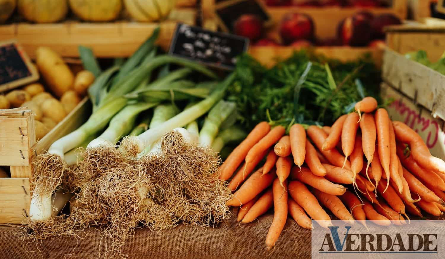 Município de Resende vai reunir com produtores de agricultura biológica