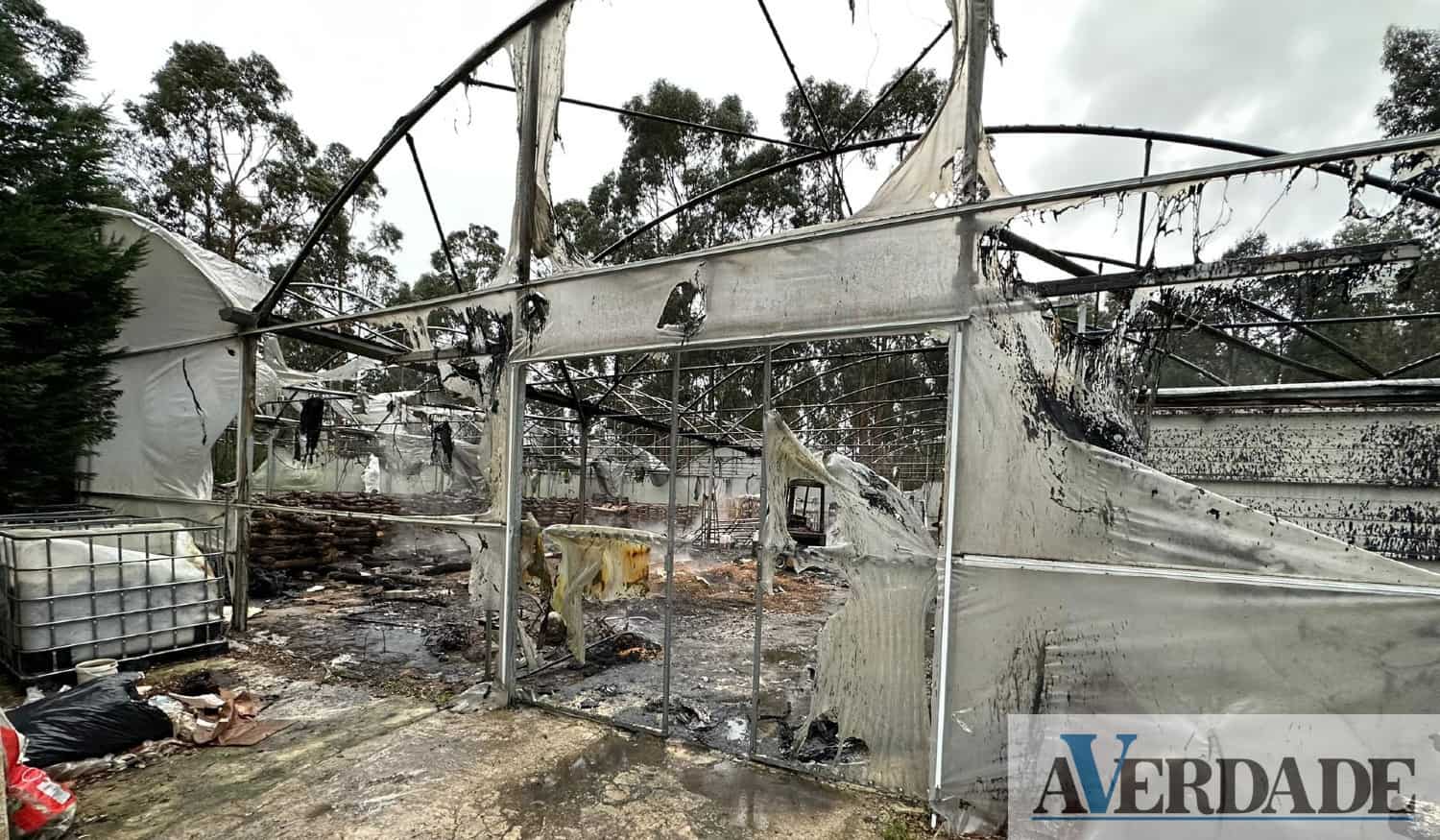 Chamas destruíram estufa de cogumelos em Penafiel