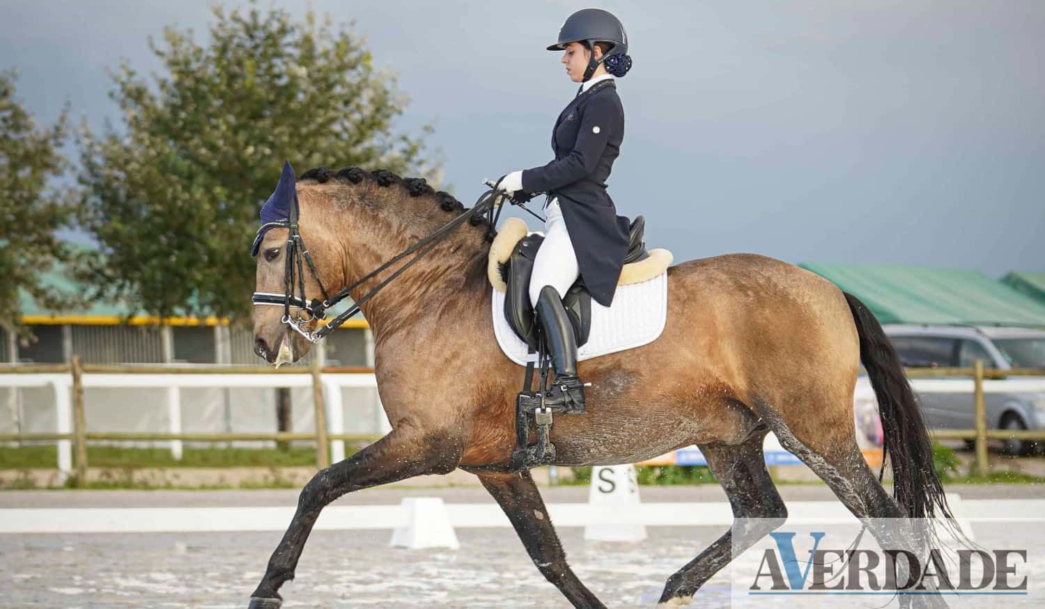 Paços de Ferreira: Maria Eduarda Castelo conquistou Troféu de Campeões de Dressage