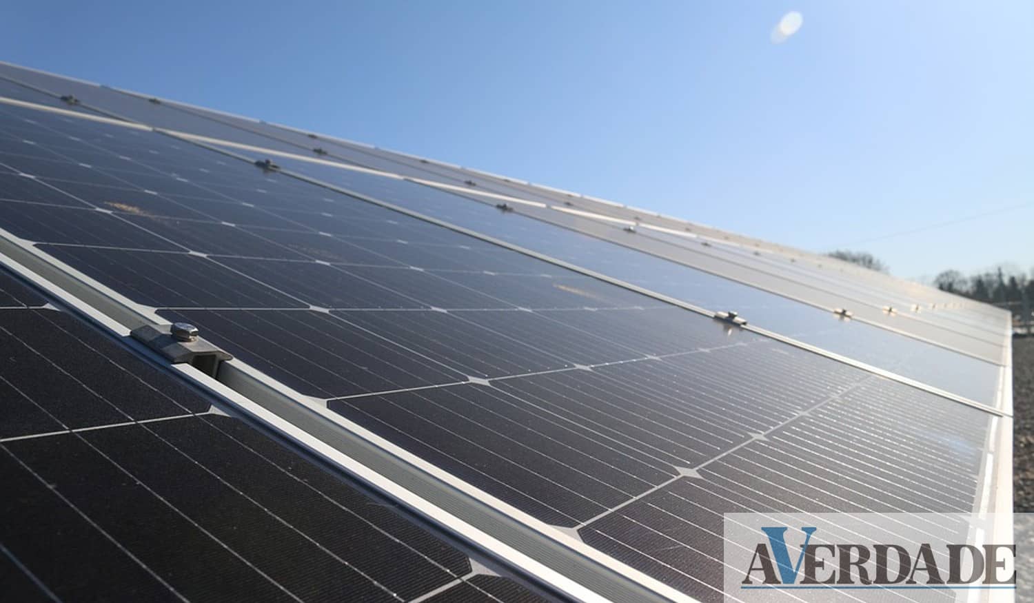 Decorrem candidaturas para aquisição de painéis fotovoltaicos nas explorações agrícolas