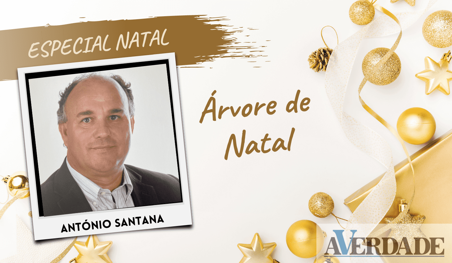 Especial Natal: Árvore de Natal