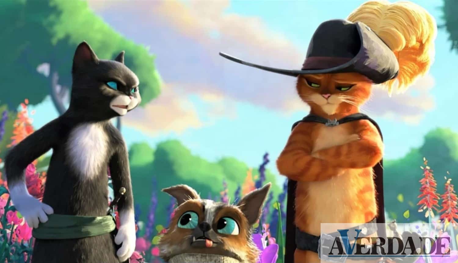 "O Gato das Botas" na programação do Cinemax Penafiel desta semana