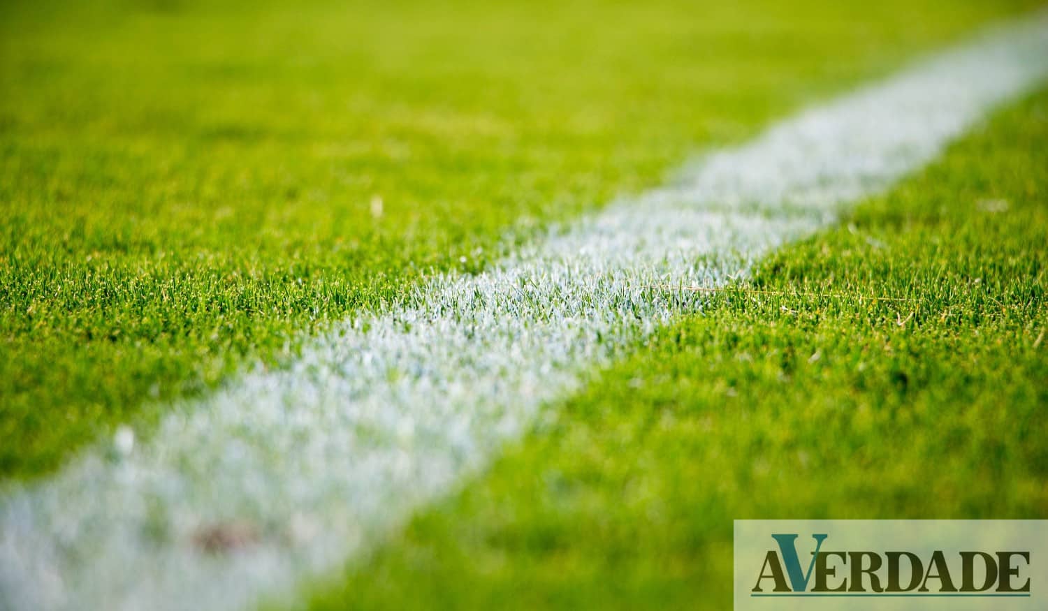 Conheça os resultados da Primeira Divisão da AF Porto