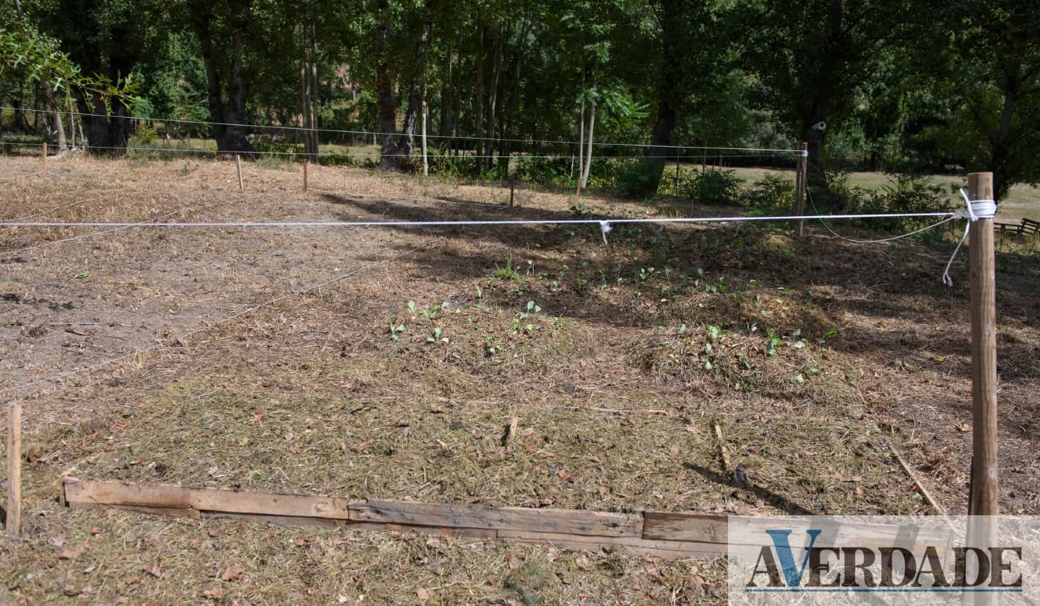 Horta Urbana de Amarante com nova fase de candidaturas a decorrer