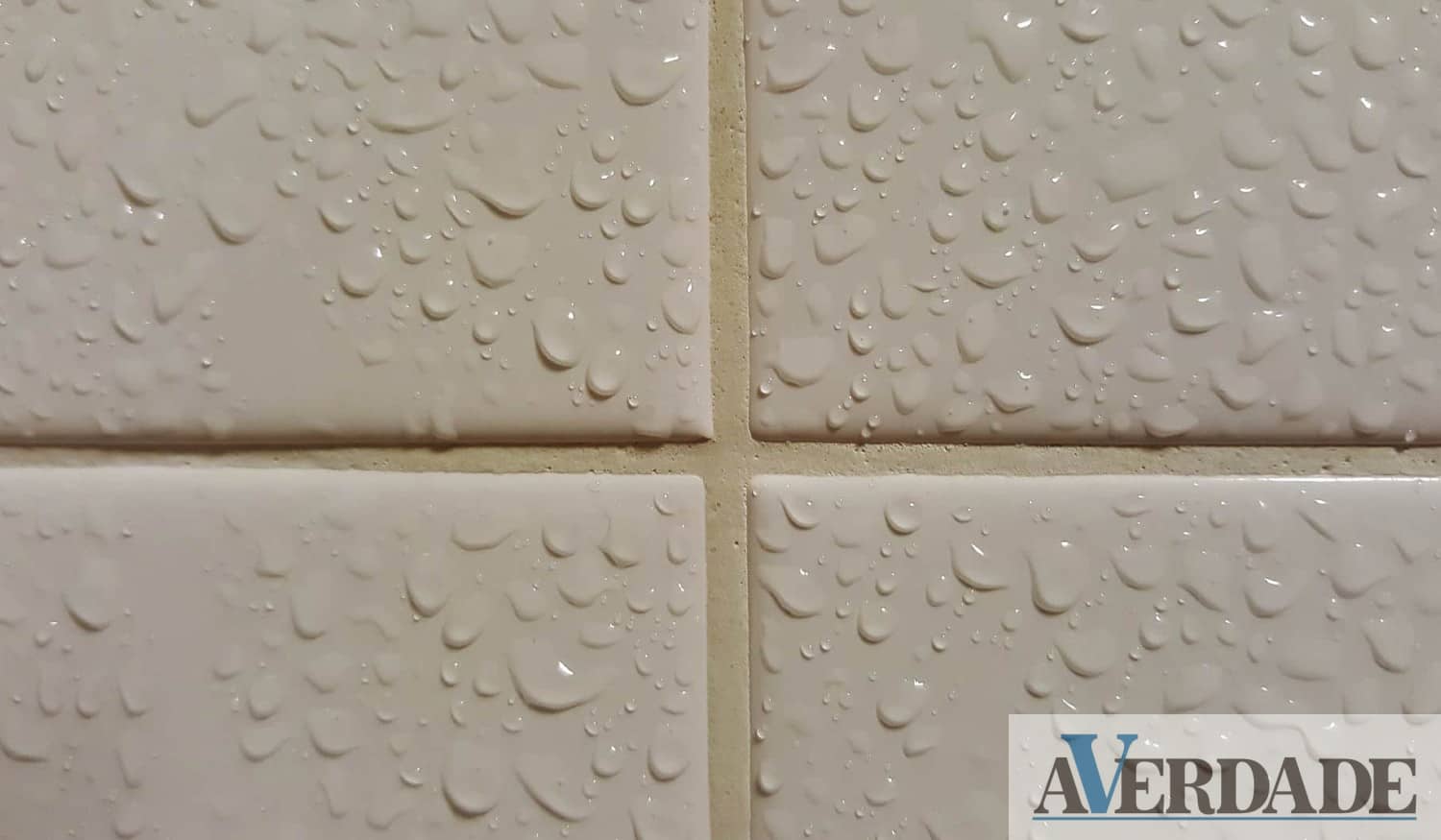 Humidade em casa: Conheça algumas dicas para reduzir o problema