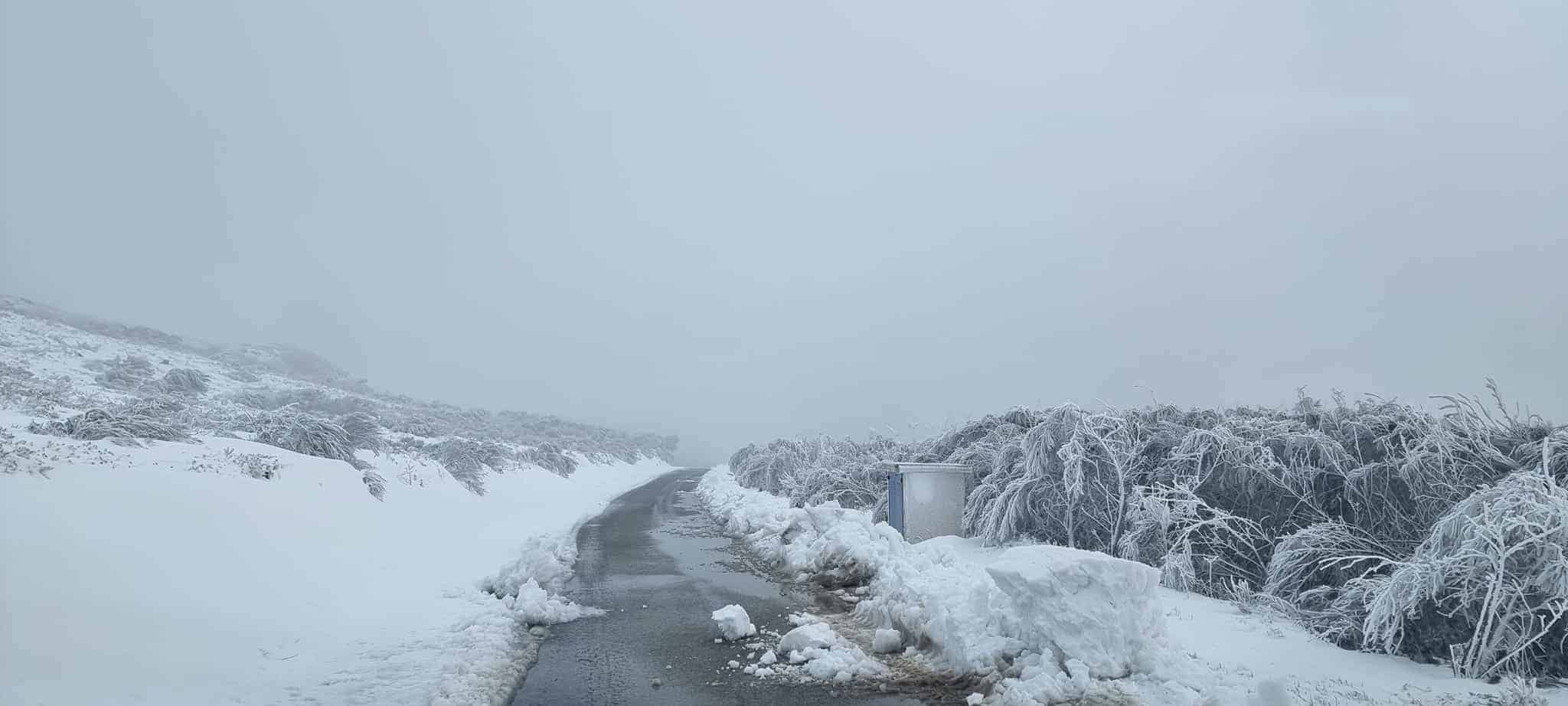 Aviso de neve vai passar para laranja nos distritos de Braga e Viseu