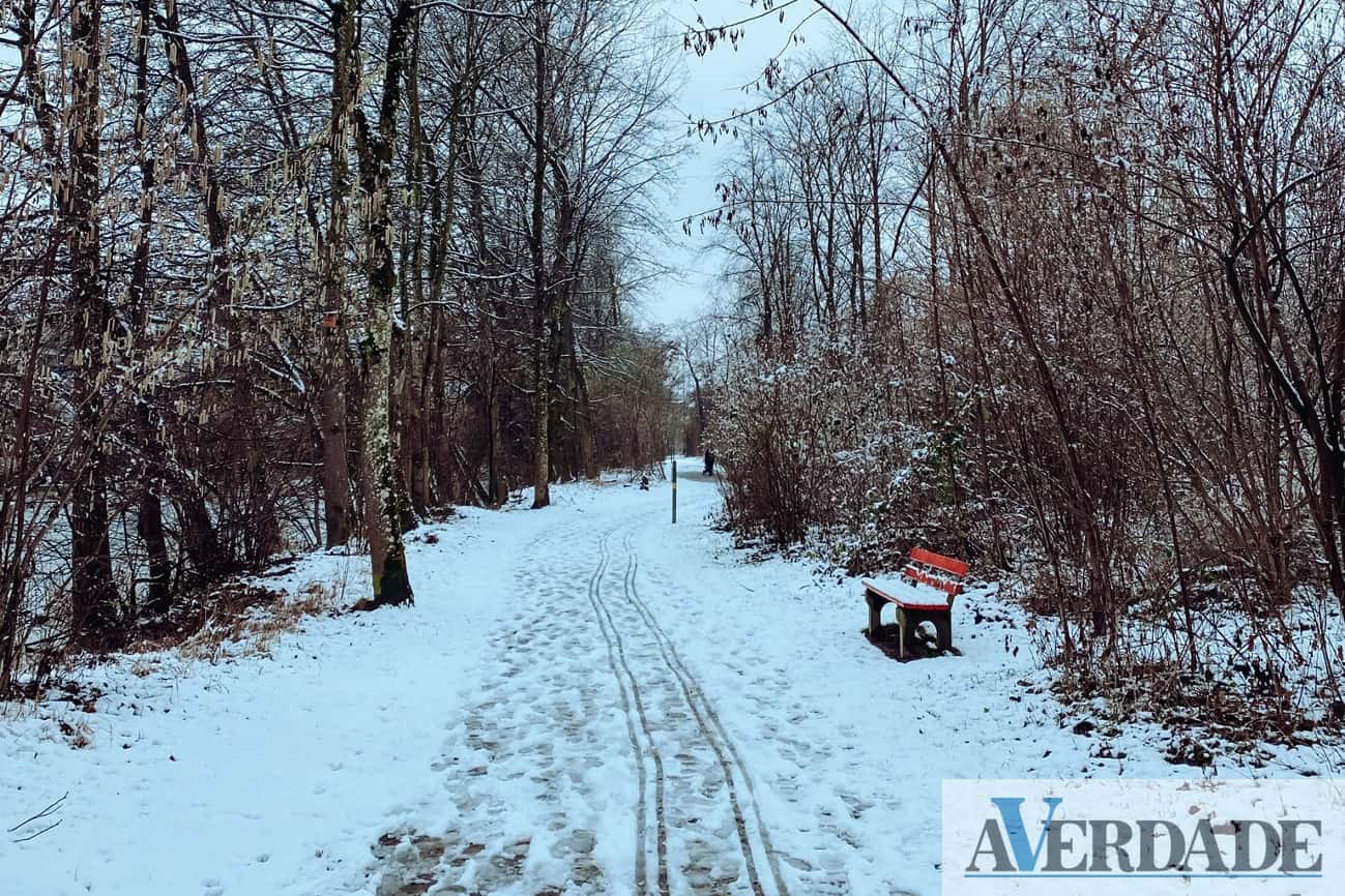 Veja as imagens da neve enviadas pelos emigrantes da região