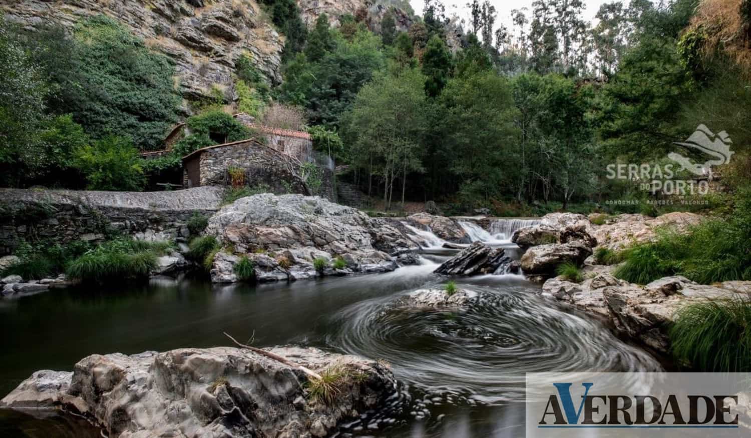 Alunos de Paredes, Gondomar e Valongo vão plantar 600 carvalhos no Parque das Serras do Porto