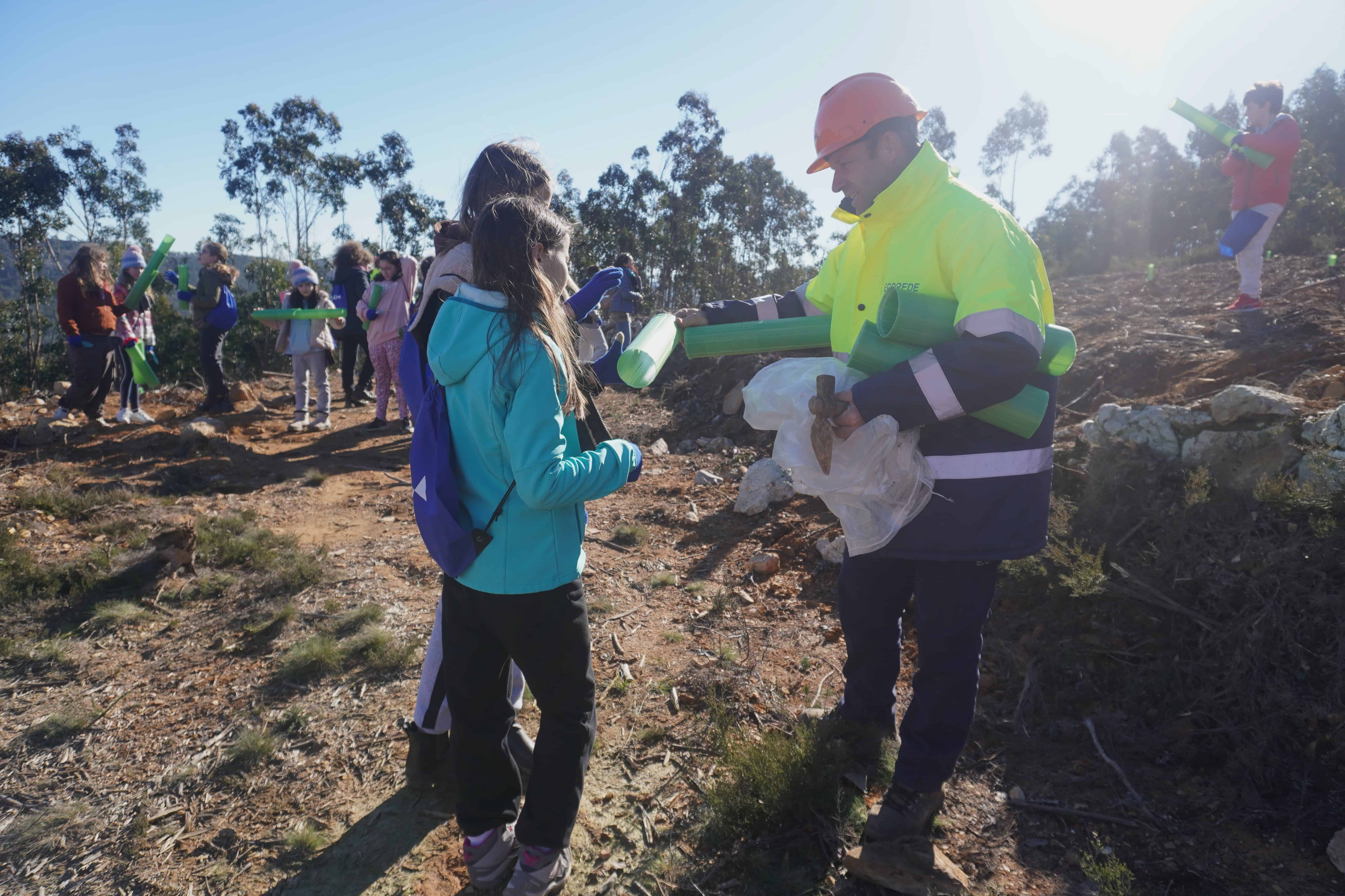 Alunos de Gondomar, Paredes e Valongo plantaram 600 carvalhos no Parque das Serras do Porto