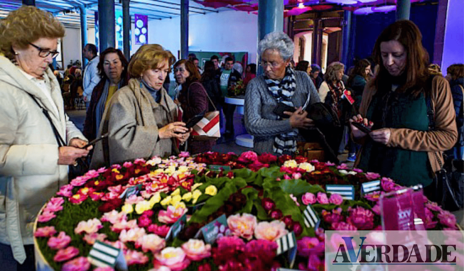 Parque de São Roque vai acolher exposição de Camélias do Porto