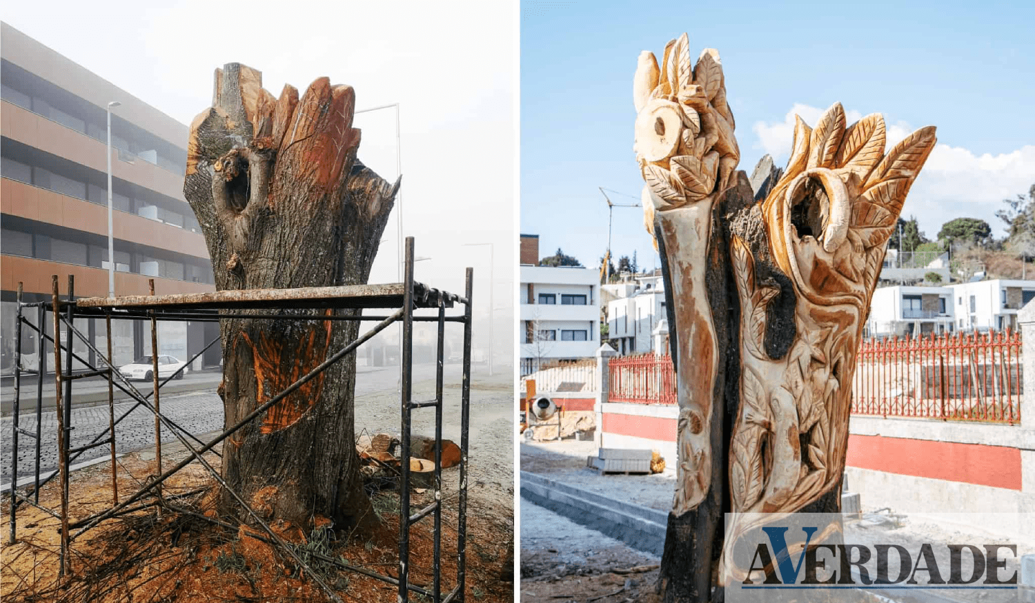 Lousada: Tílias foram transformadas em esculturas que celebram a biodiversidade