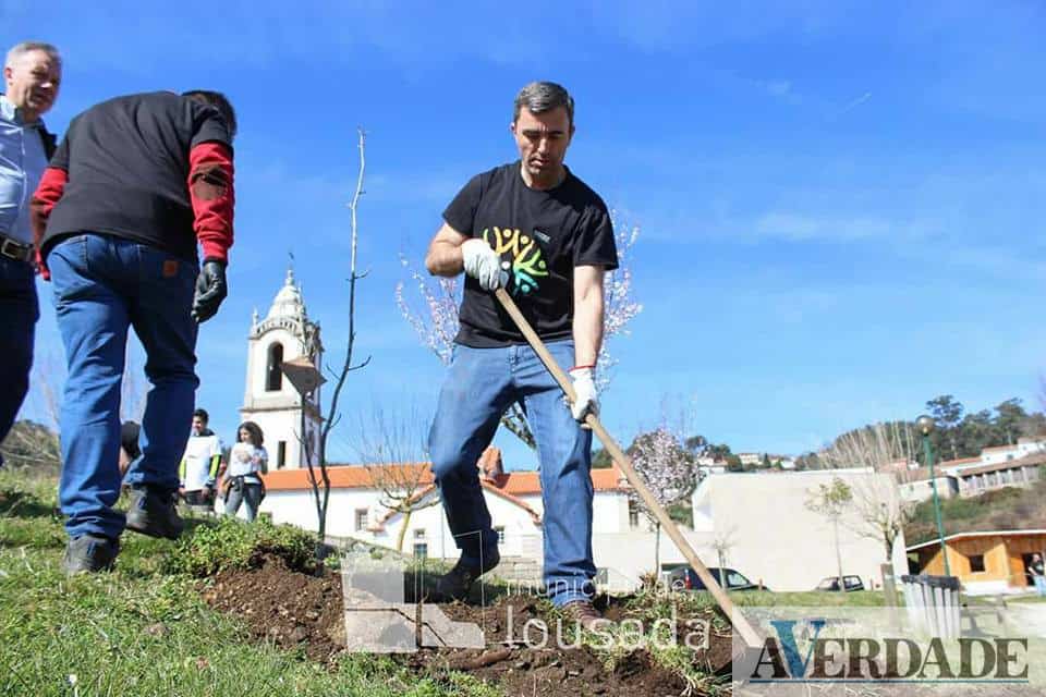 Mais de 70 hectares de áreas degradadas foram restauradas através do projeto #PlantarLousada