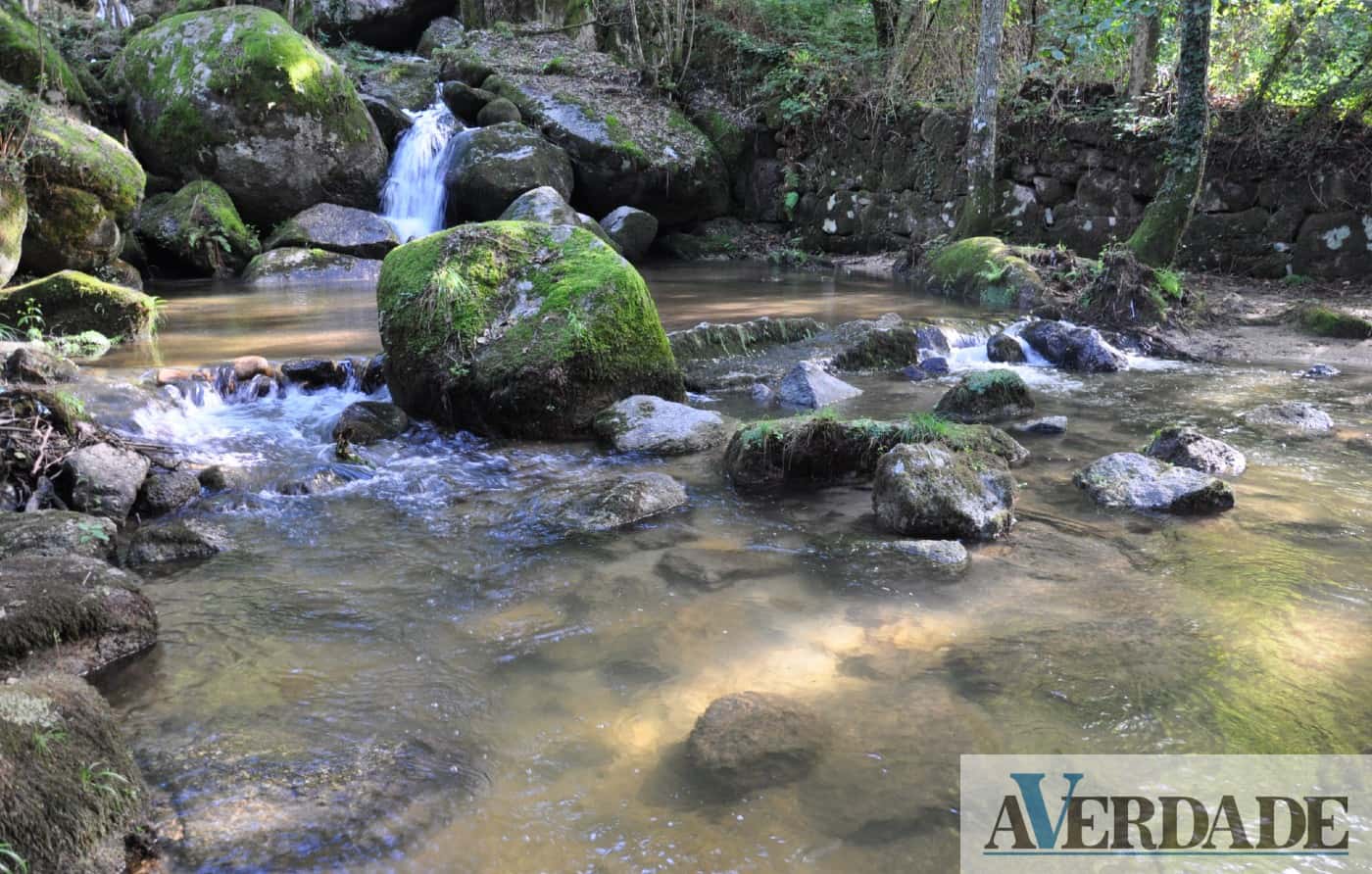Felgueiras: Barrias de Jugueiros, "um espaço romântico e ideal para passear"