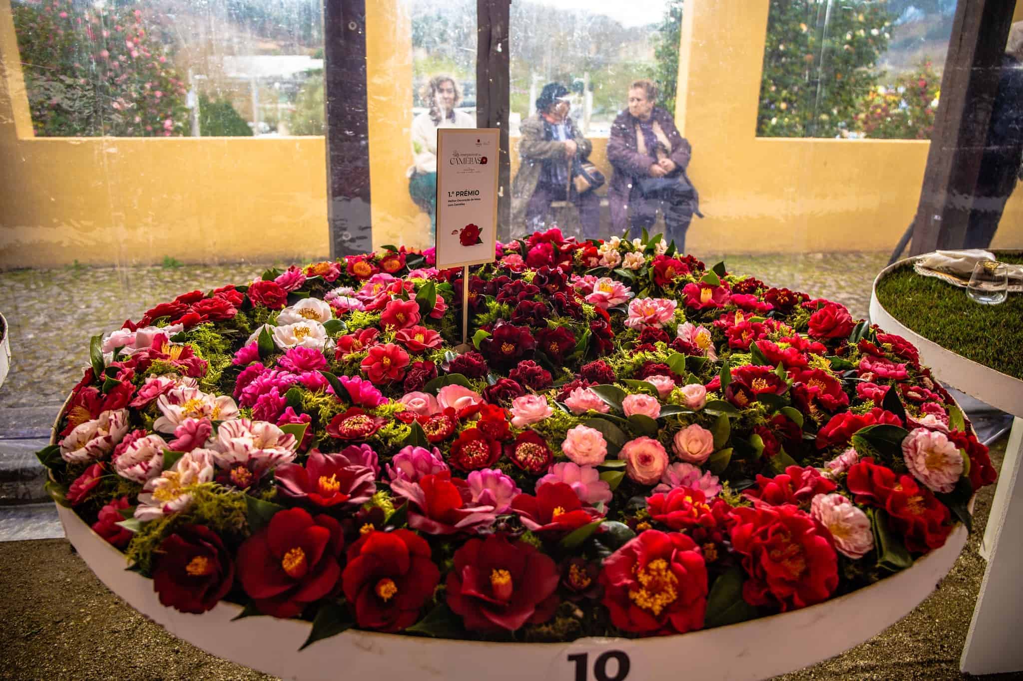 Festa Internacional das Camélias marca agenda de Celorico de Basto de 2 a 24 de março