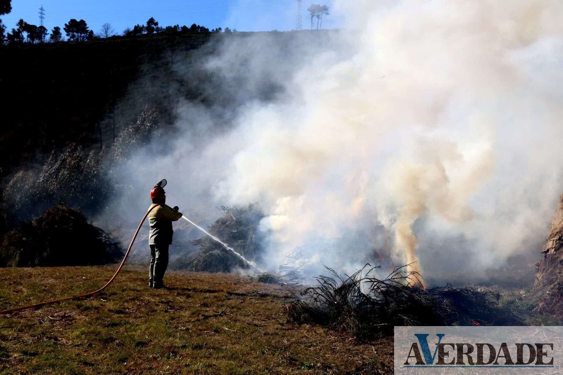 Município de Cinfães limpou 30 hectares de gestão de combustível desde o início do ano
