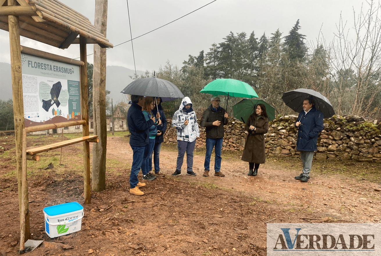 Primeira Floresta Erasmus+ já é uma realidade na Casa da Juventude de Amarante e em Portugal 