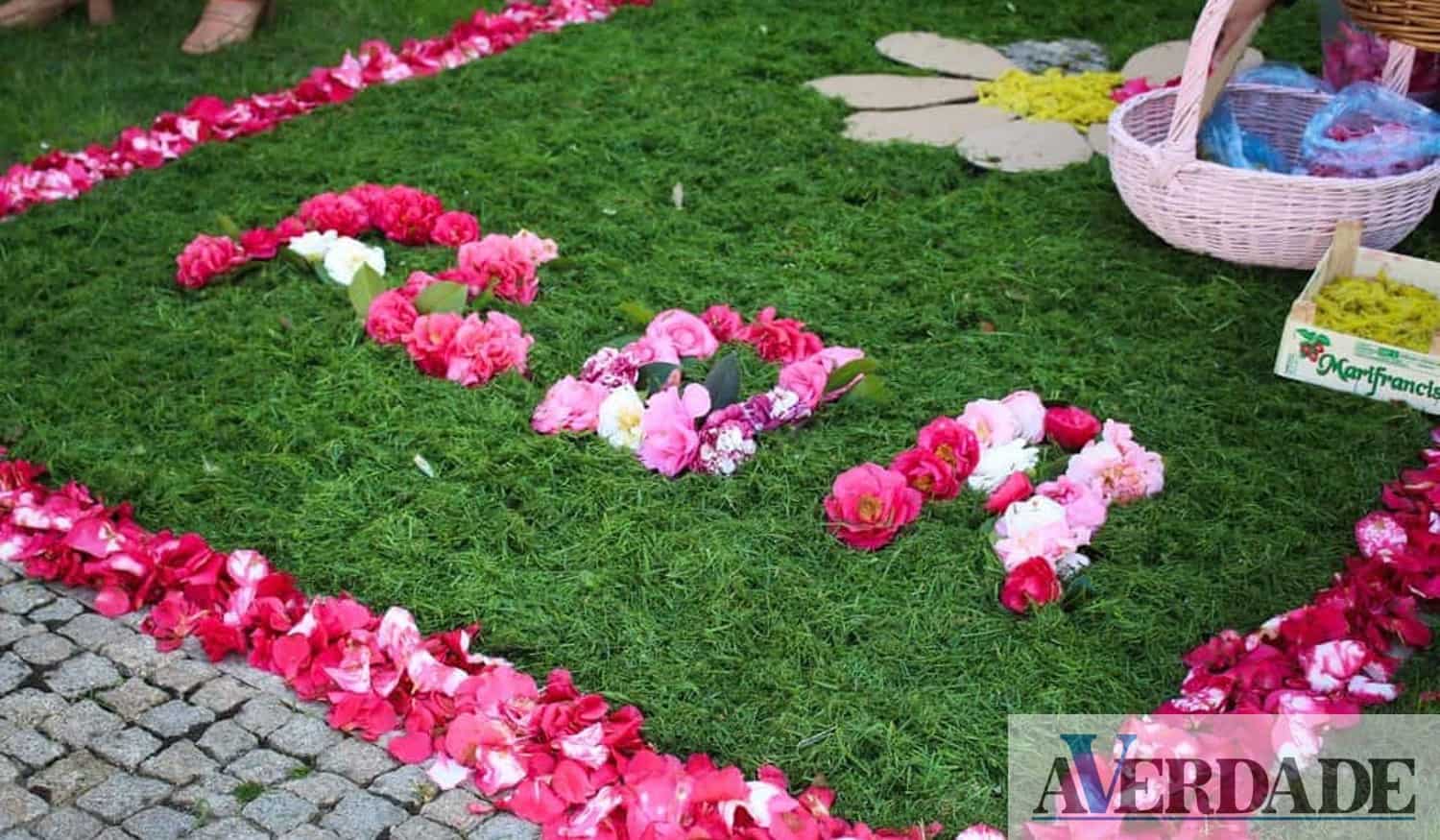 Município de Paredes vai realizar evento "Serão as flores só para Mulheres" inserido no Primavera Festival Flor